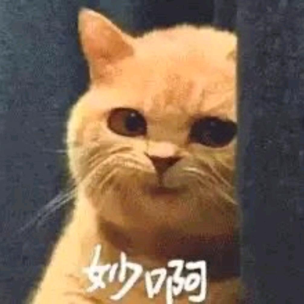 抠鼻屎的熊