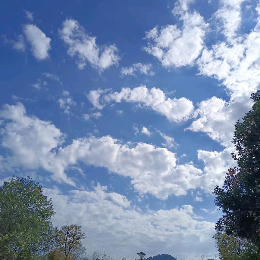 逍遥自在游人间