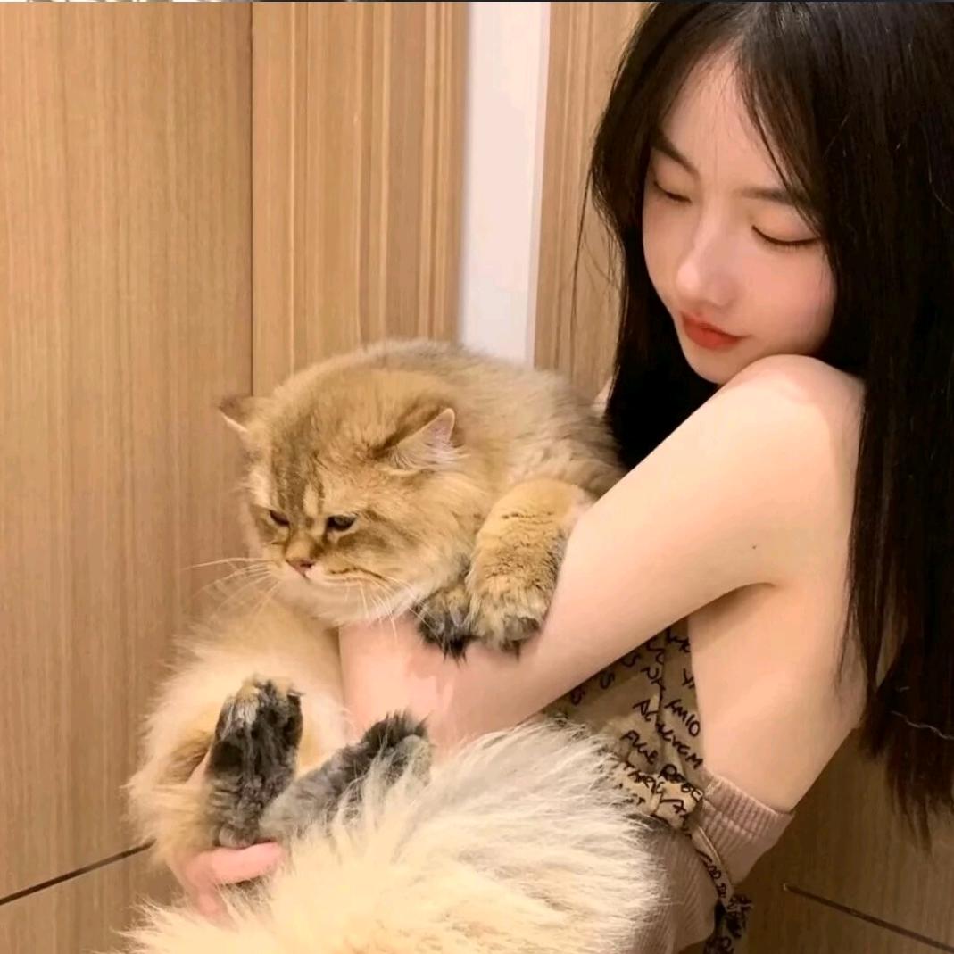 手撕鸡(故事汇)