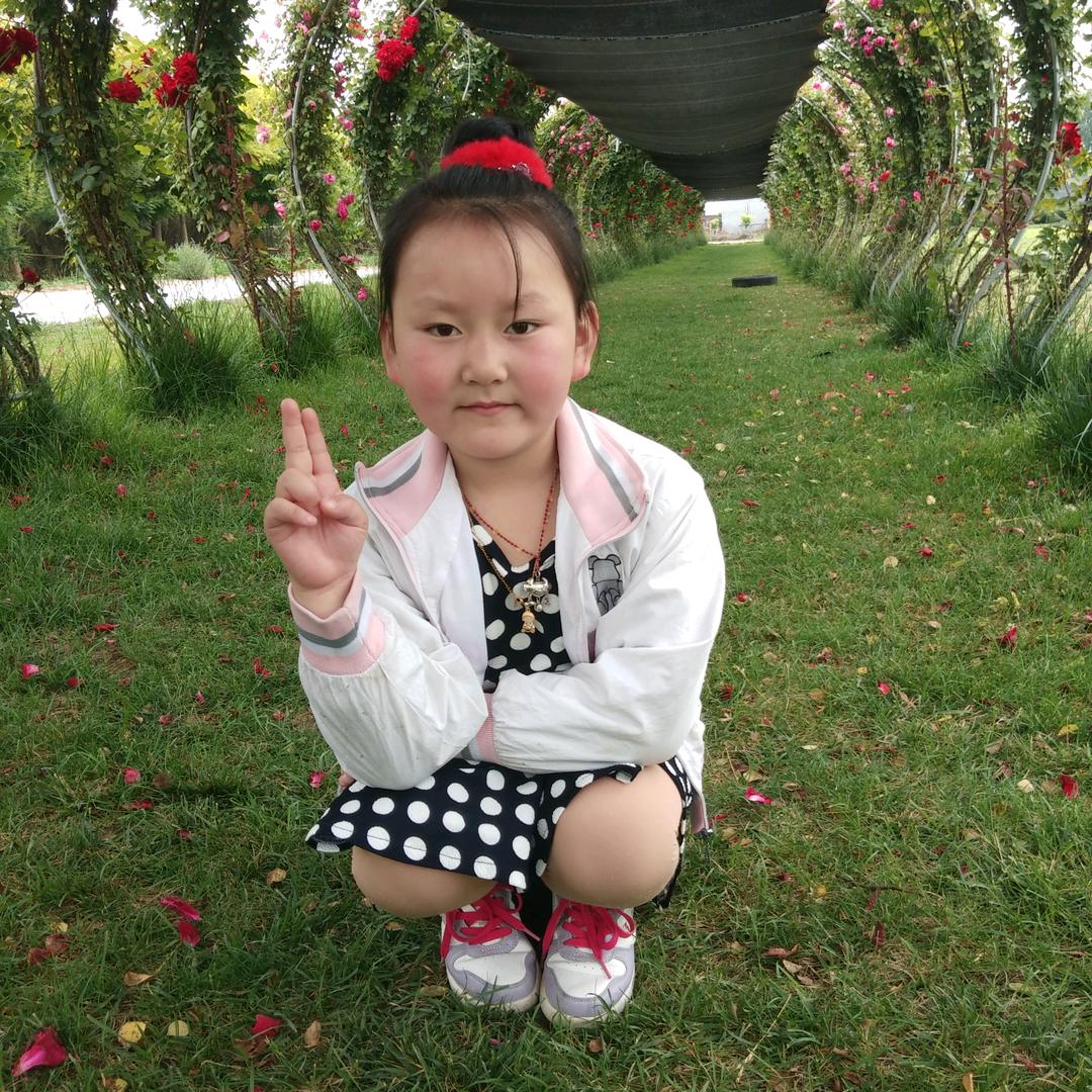皖辞