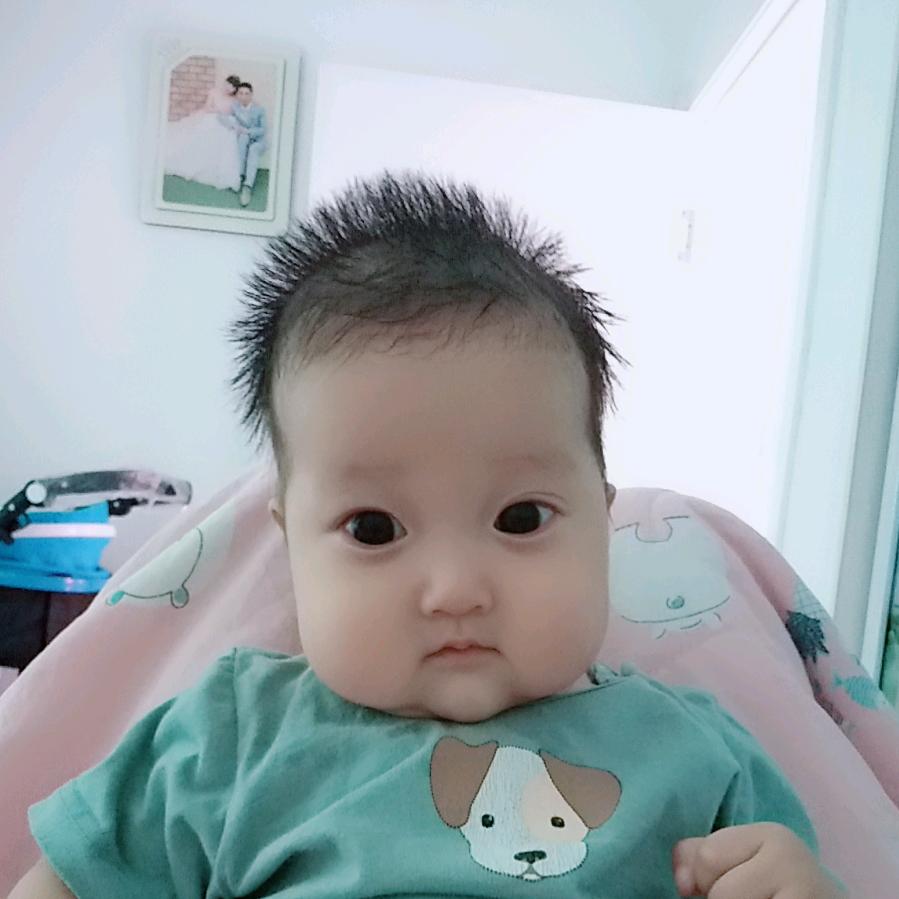 琦琦