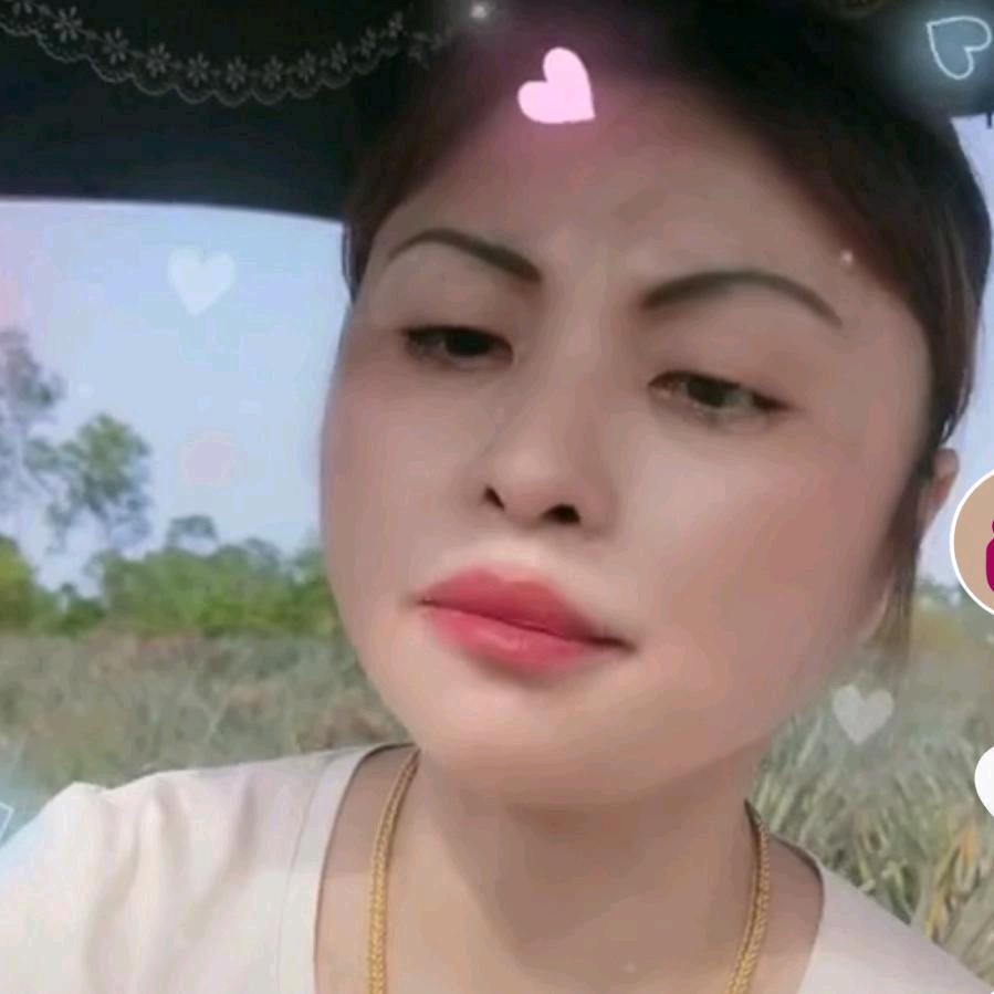 海南凤梨平姐