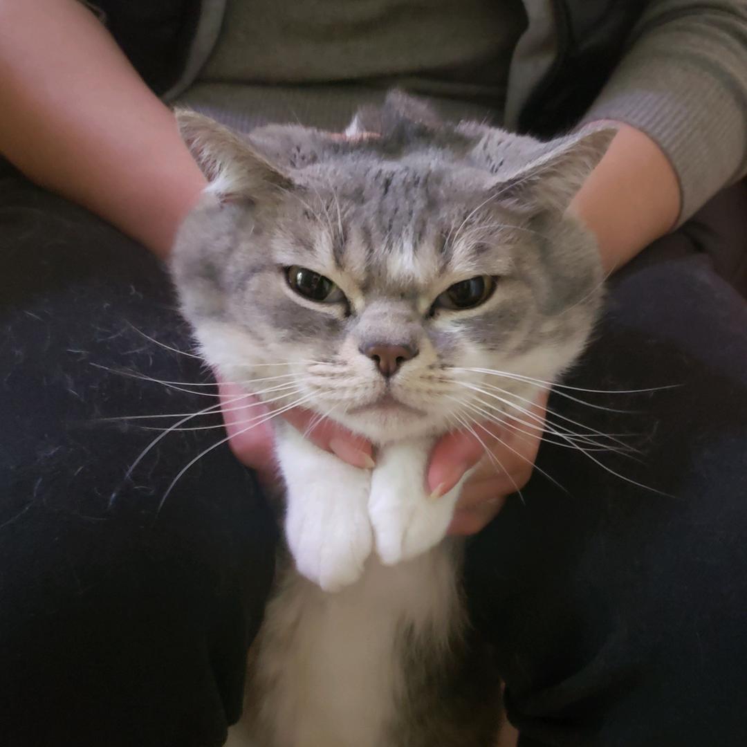 AAA往事如烟（日久见人心）🌹感恩有你