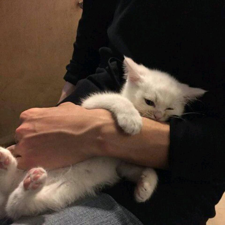 北执