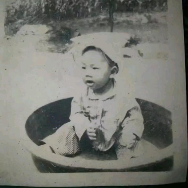 我是朱朱侠