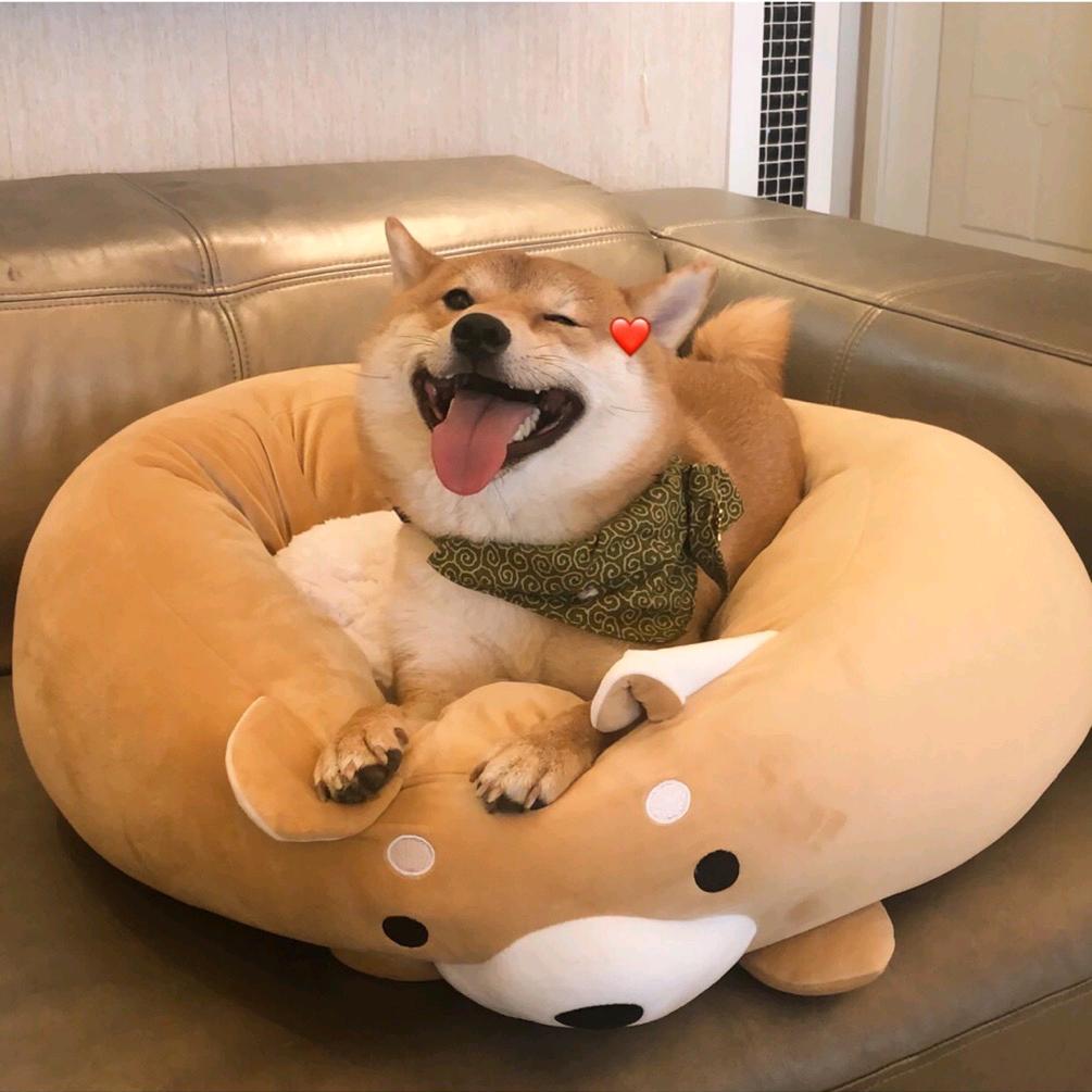 穗穗