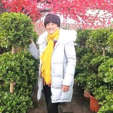 张三妮
