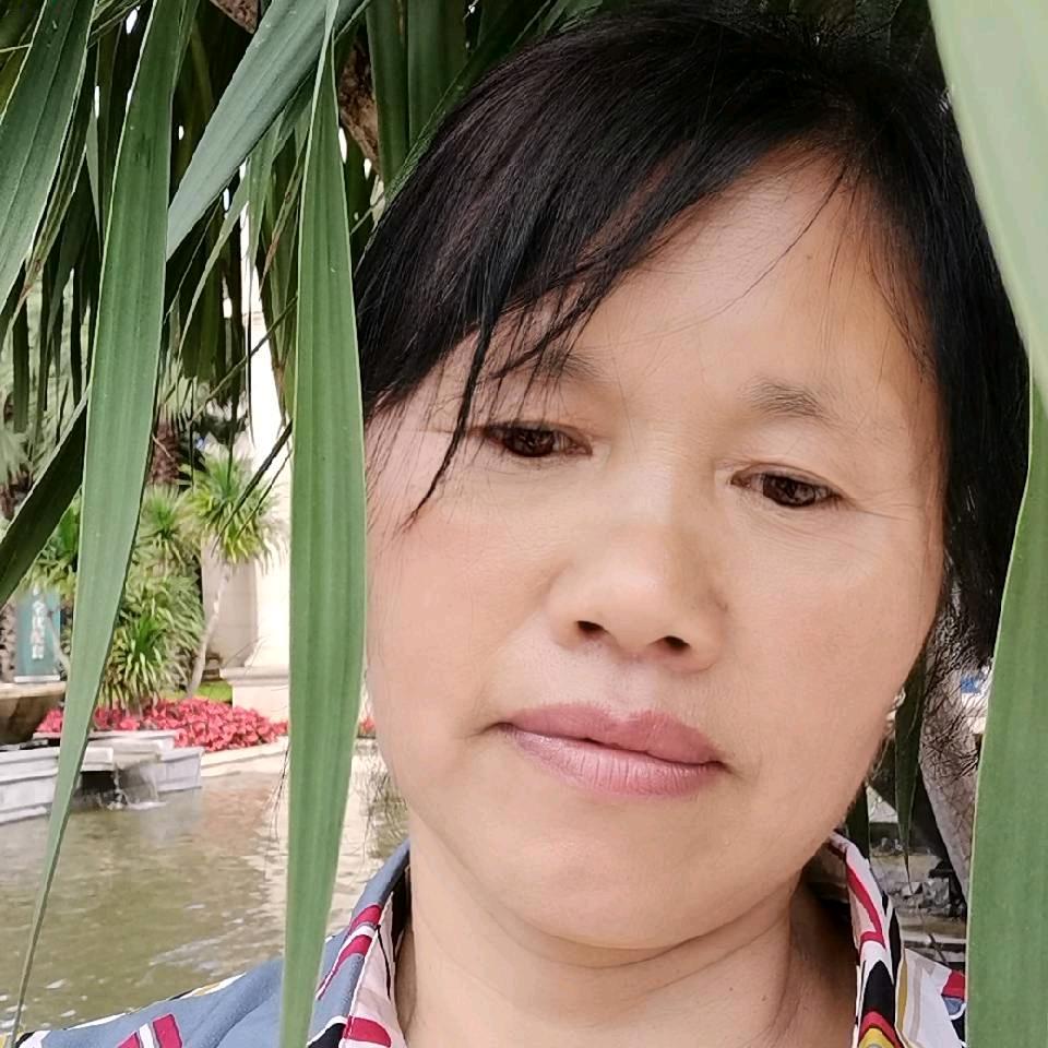 帆星晚霞，早晚九点开播