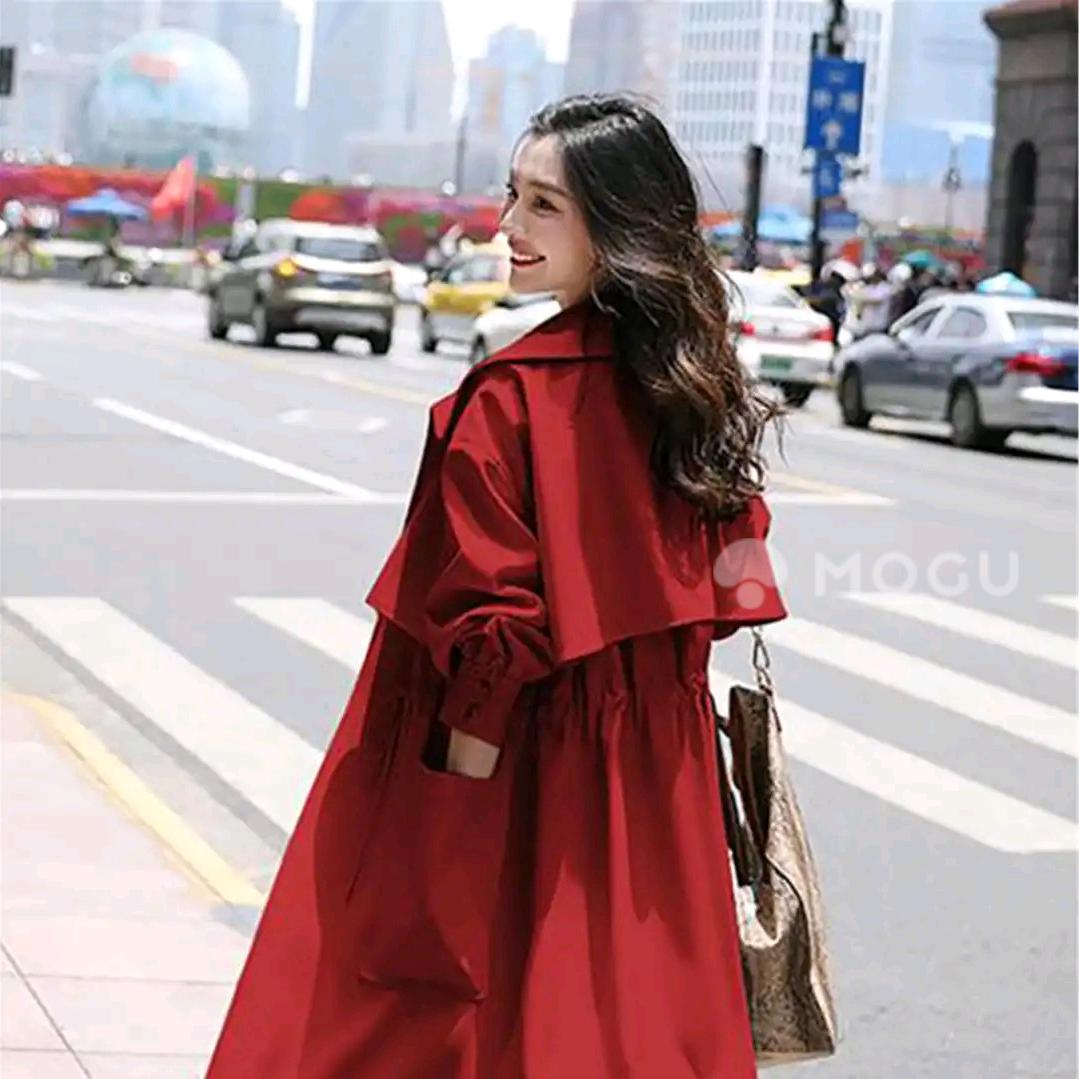 红玫瑰🌹