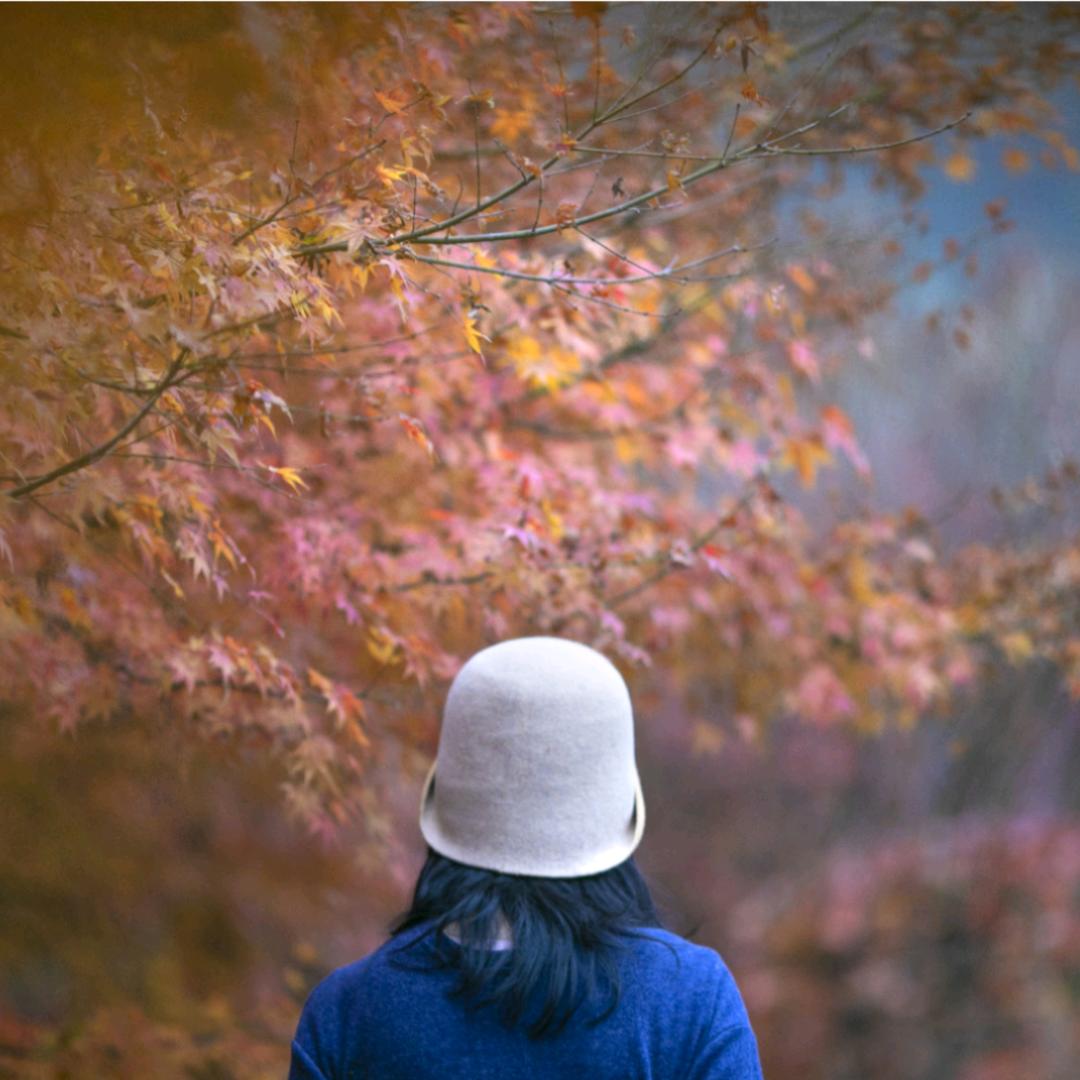 雪晴斋.静中气象