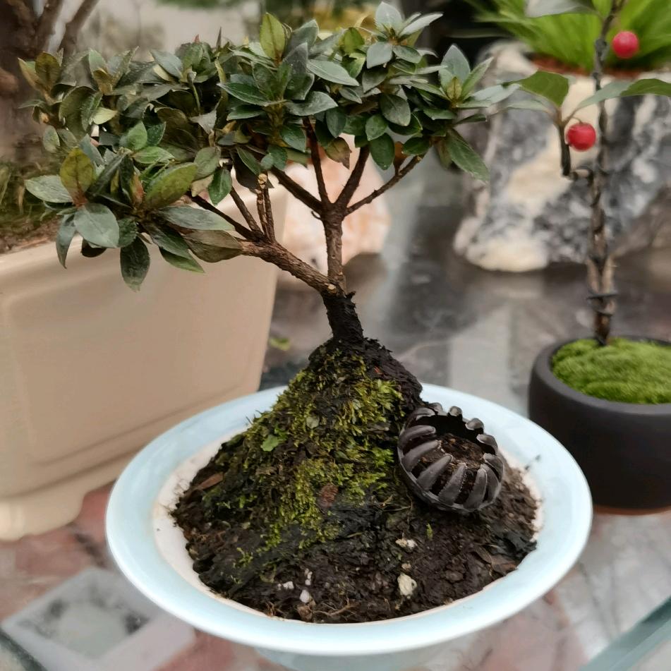 新的征程