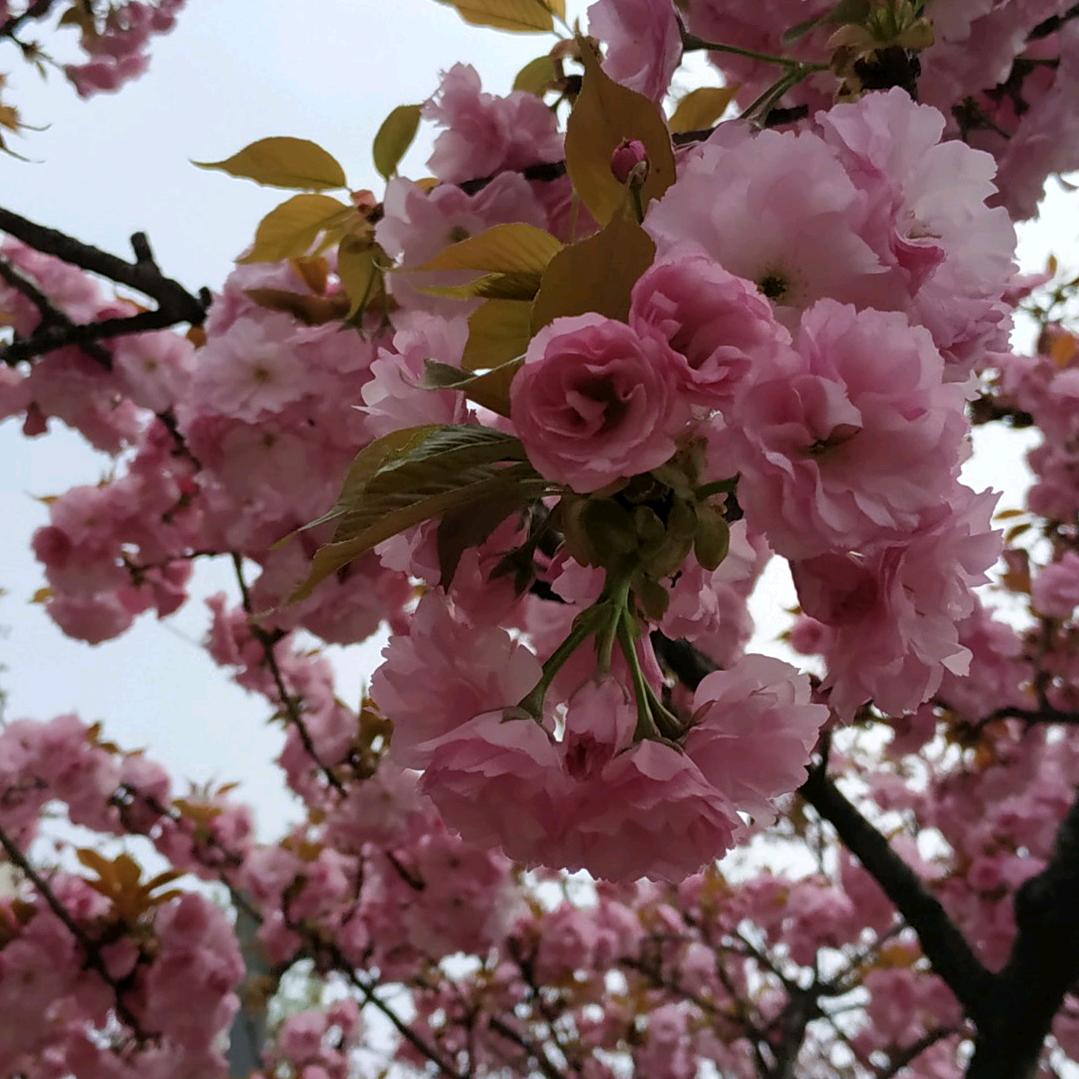 💞慢慢治愈💞
