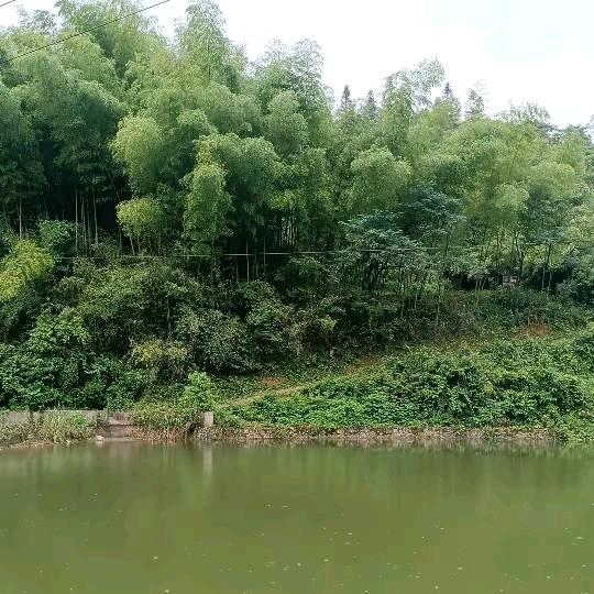 忘掉过去好好爱自己