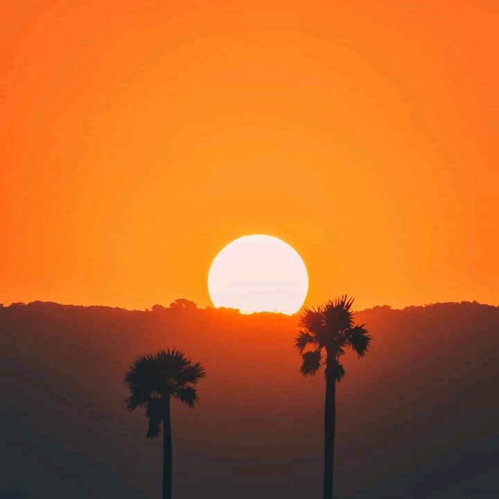 ☀️阳光灿烂☀️