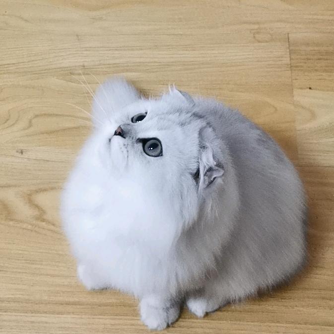 Zero丶