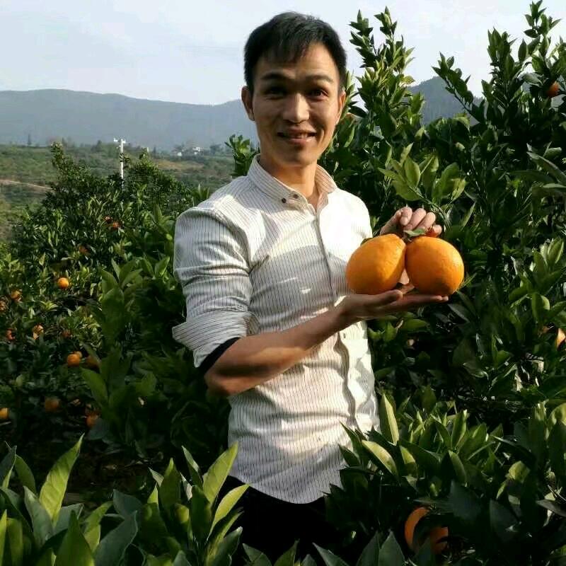种水果的老班长企业店