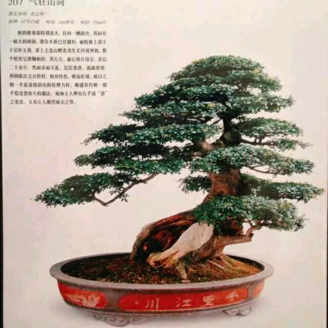 换位思考