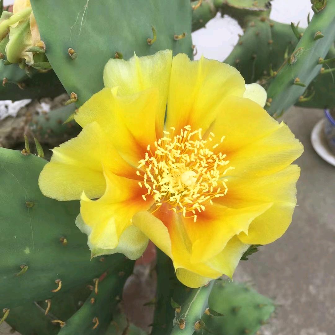 绝地逢生《橱窗有好物》