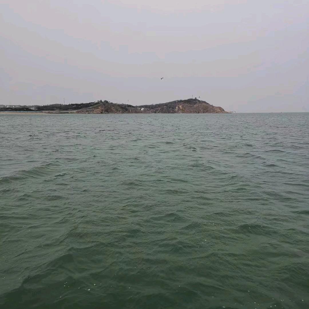 五哥