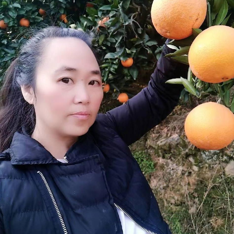 飞雁