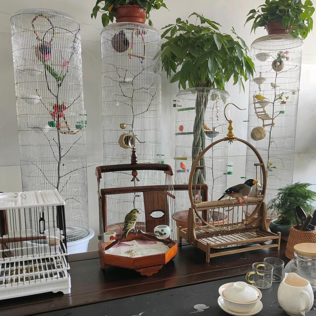 西子鸟笼