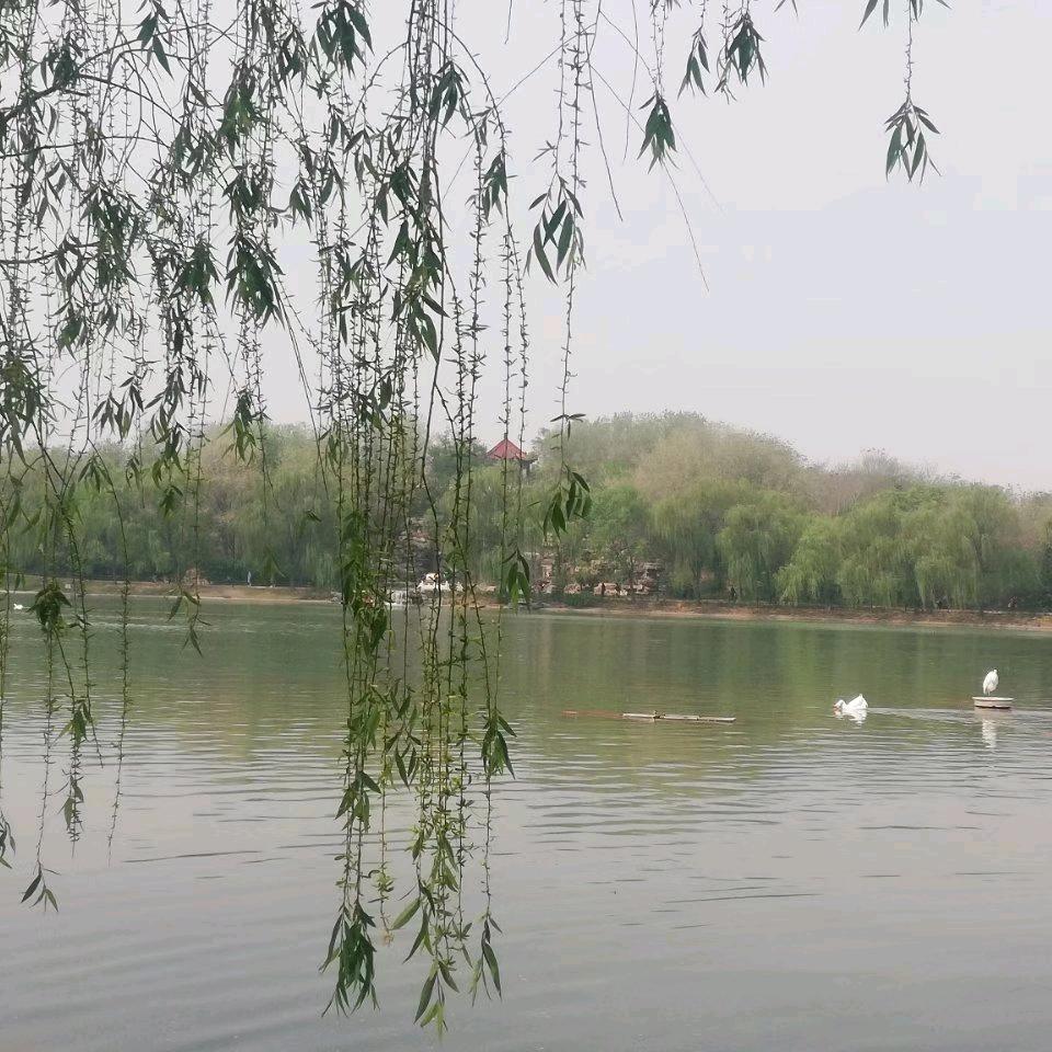 林林林