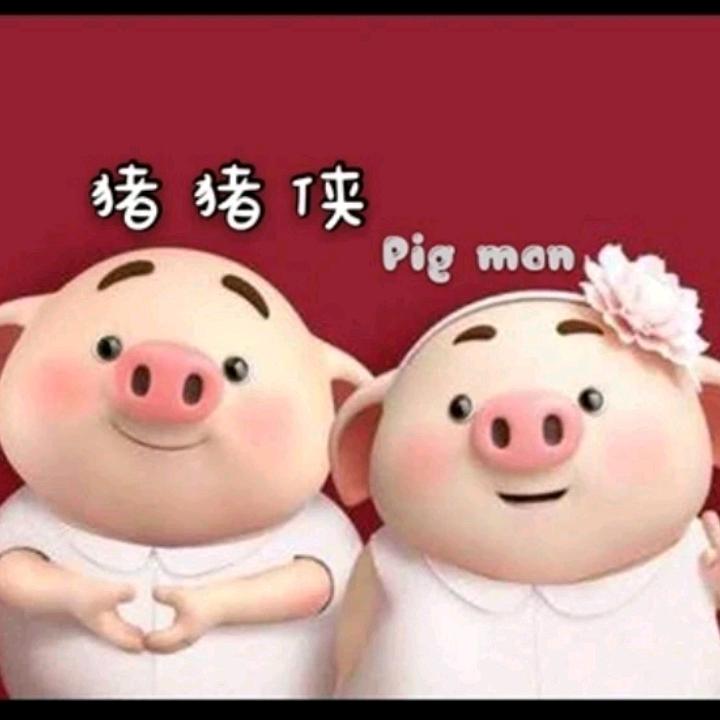猪猪侠1398