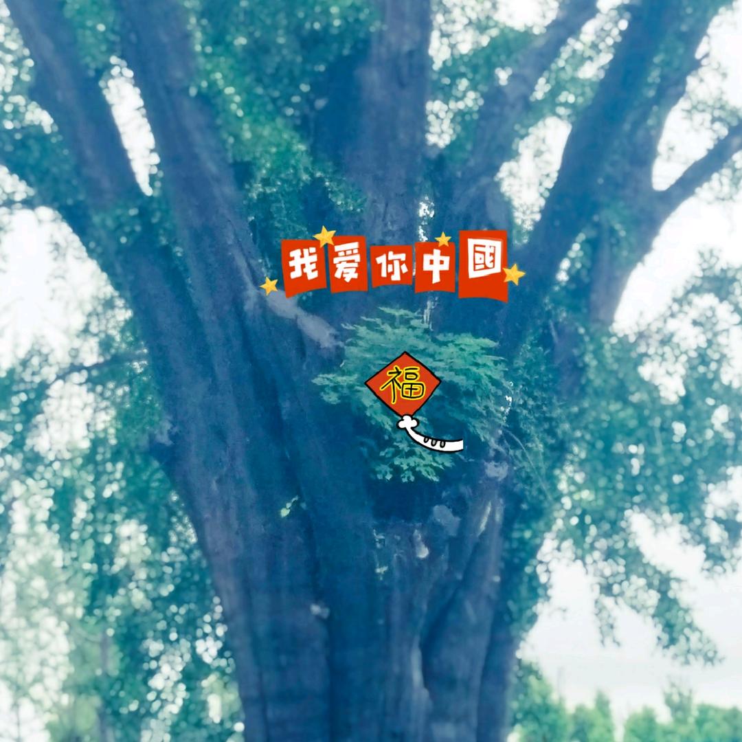 不忘初心⛳