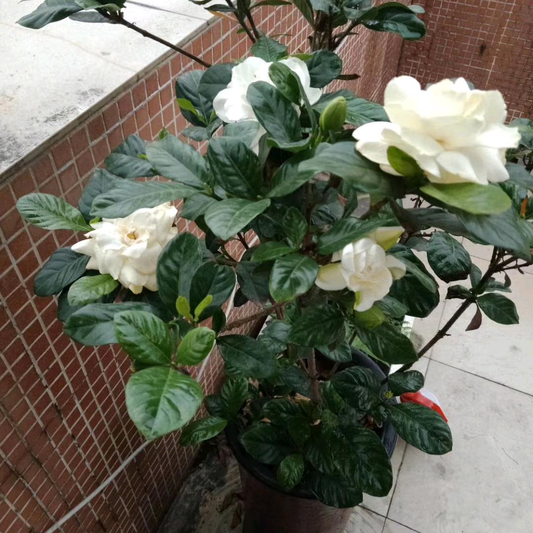 人在`江湖129