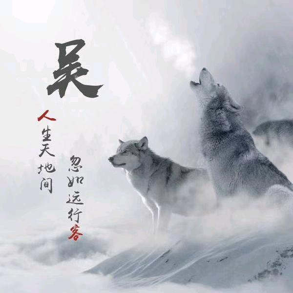 龙哥