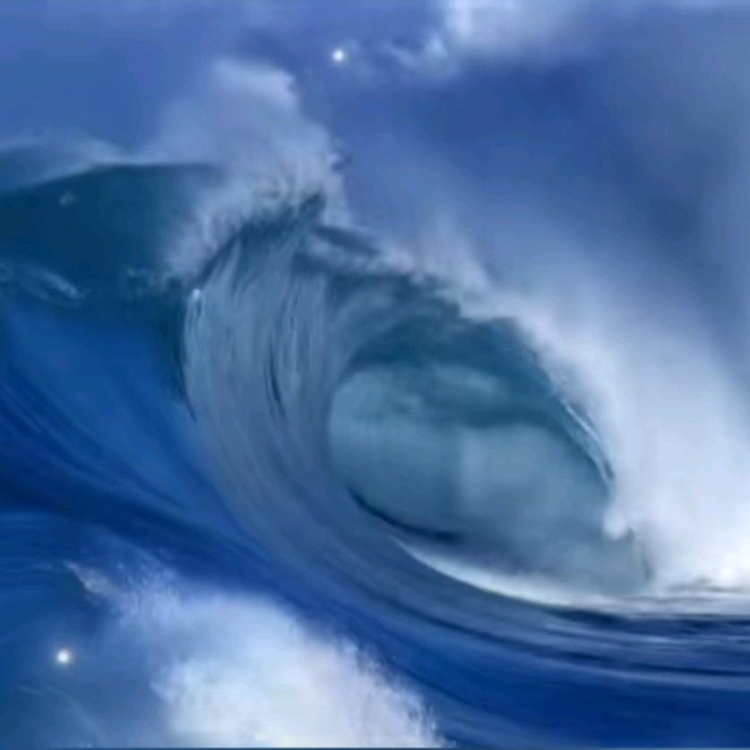 沧海