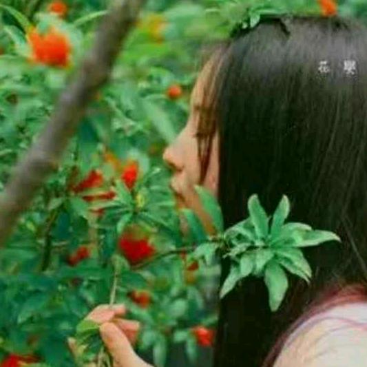 平安幸福