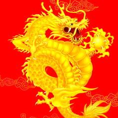 哥是五花肉总裁