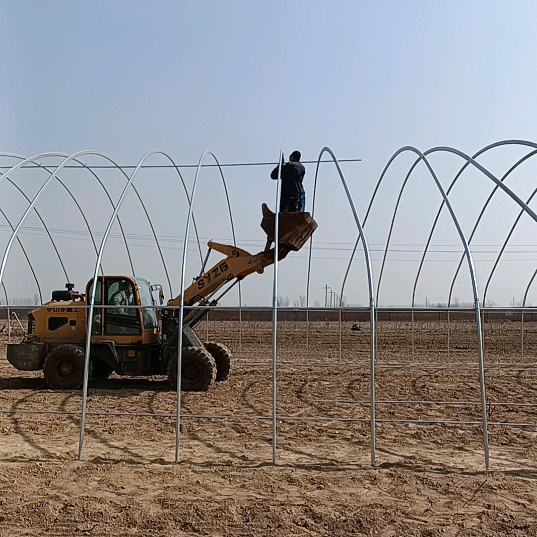 专业养殖棚，农业用棚建设