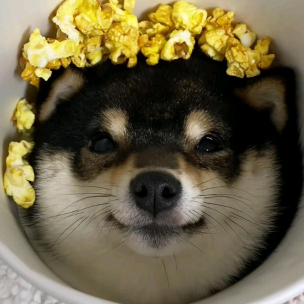 cfm江晚