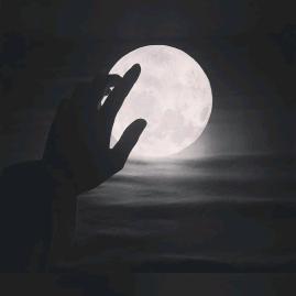 海蓝时见鲸-