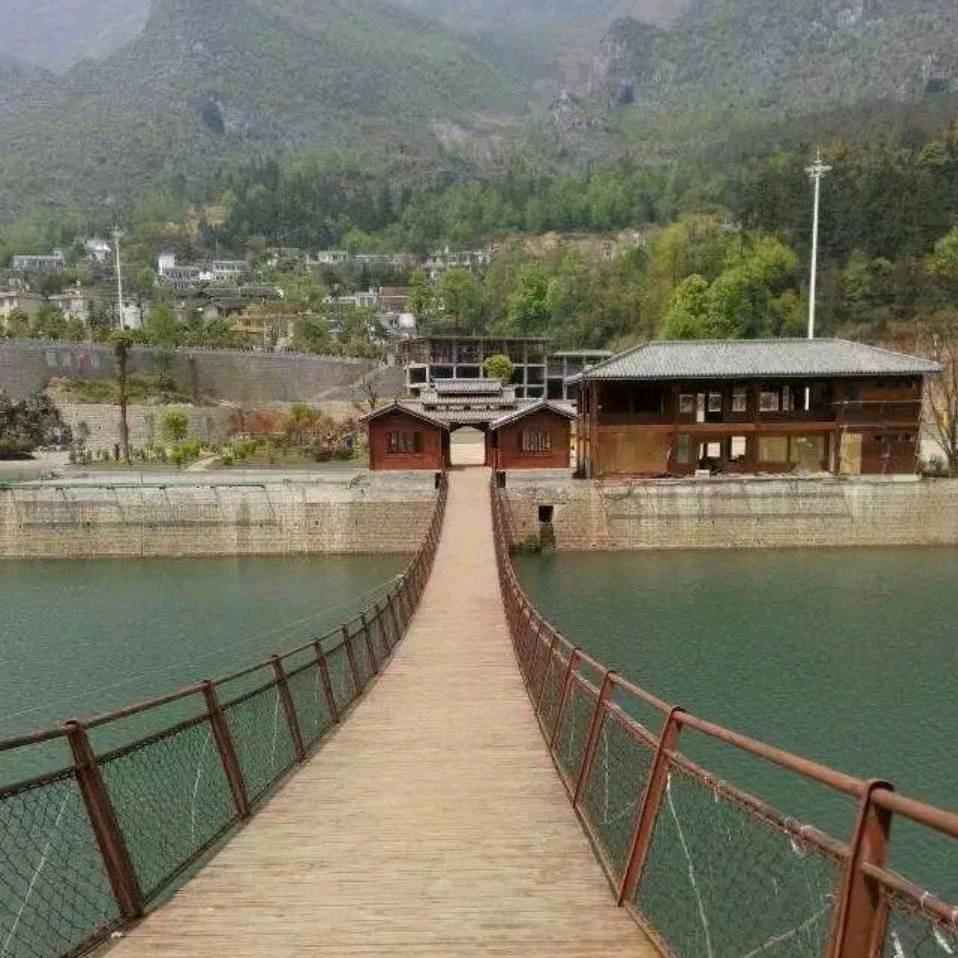 甘龙