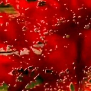 淡墨🌹