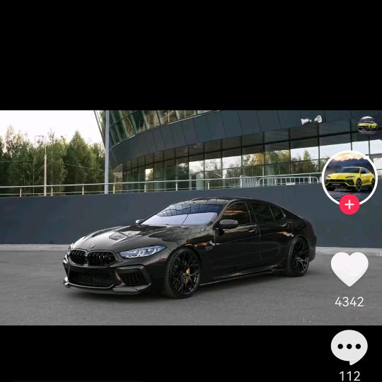 尼古拉斯•秀儿