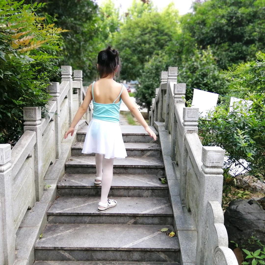 北极熊