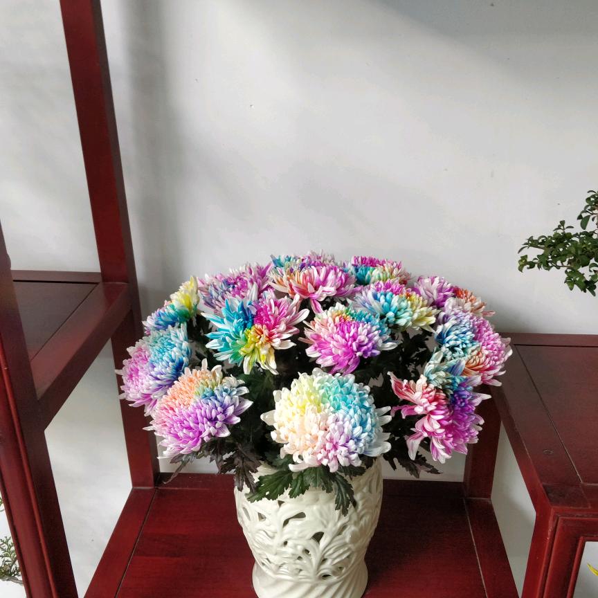 幸福生活