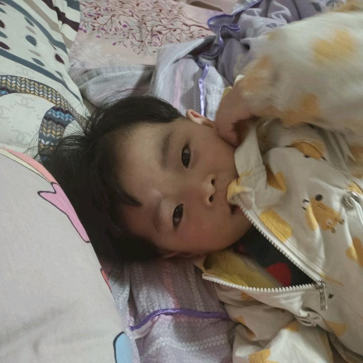就是不吃饭丶