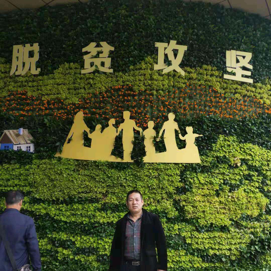 洋洋哥