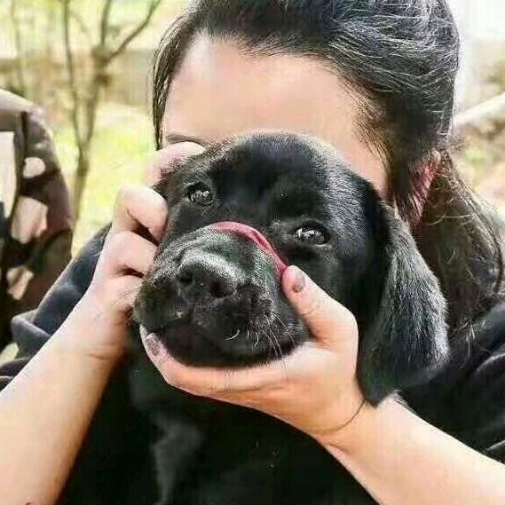 魔法少女鲁智深