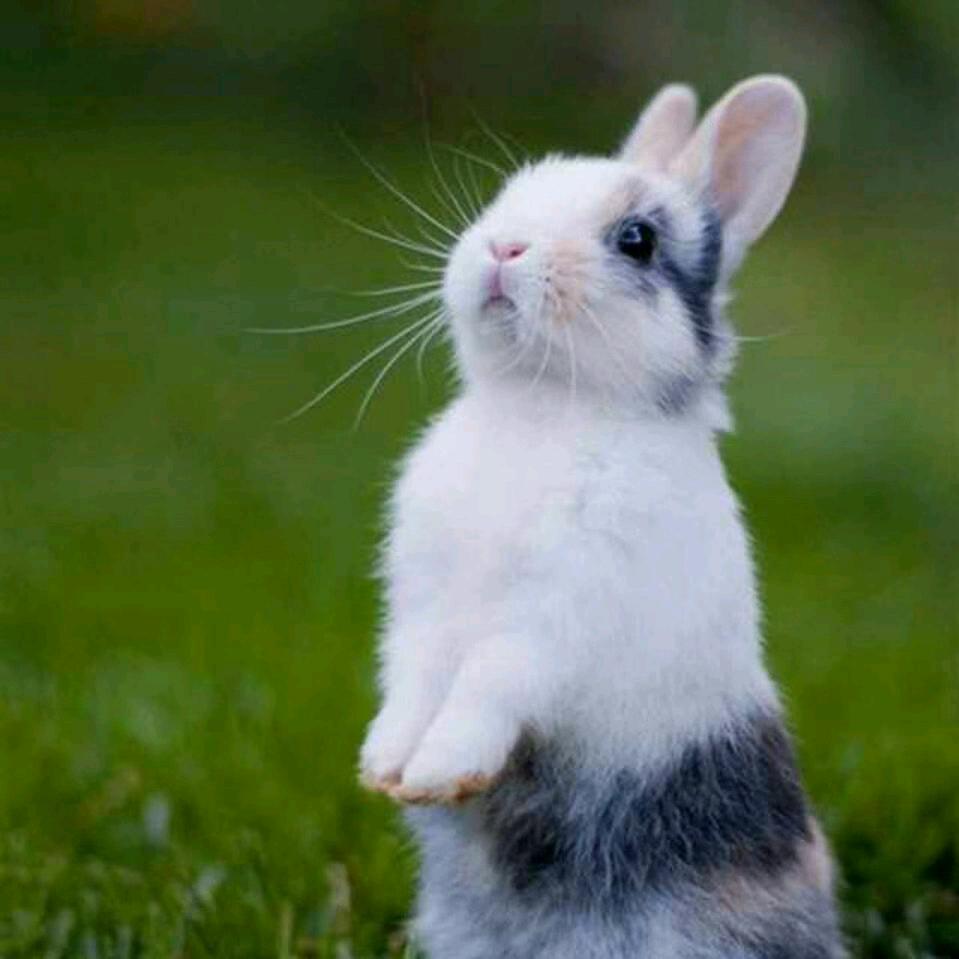 杨⛵️帆起航🐰