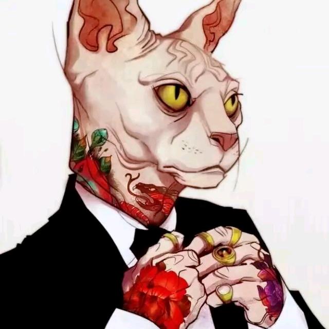 猫少