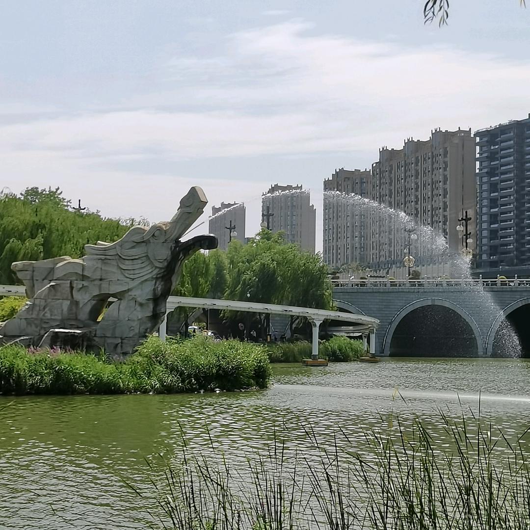为你停刘