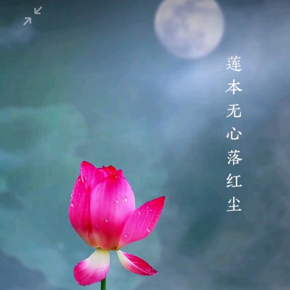 二平