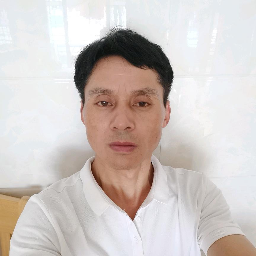 雁南飞