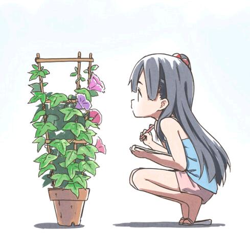 小苏观察